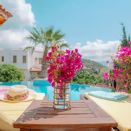 Limon, Cukurbag Peninsula-kas